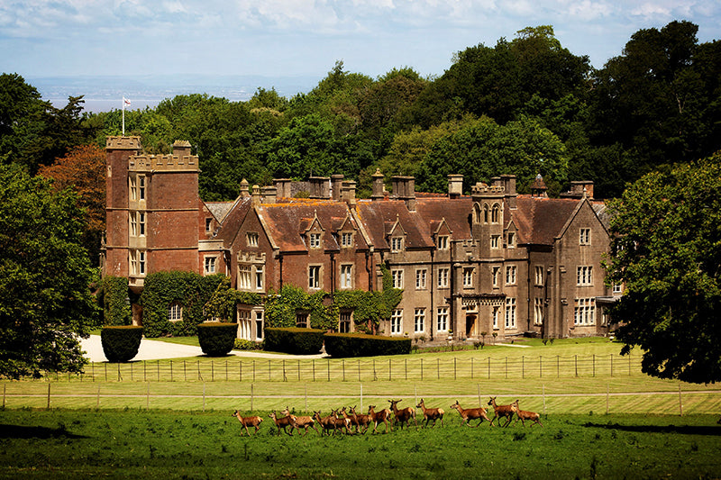 St Audries Park Gift Card